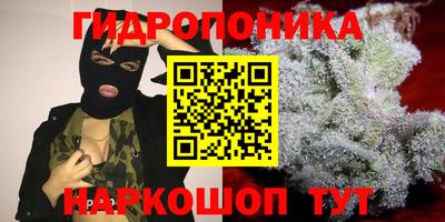 стаф Пушкино