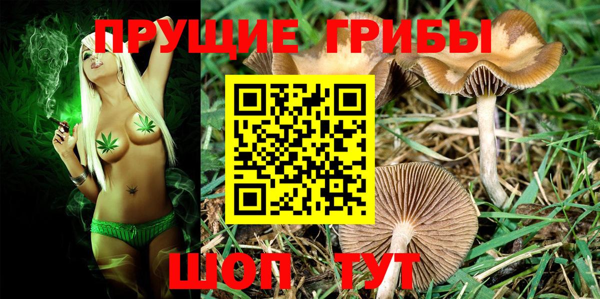 Галлюциногенные грибы ЛСД Краснотурьинск